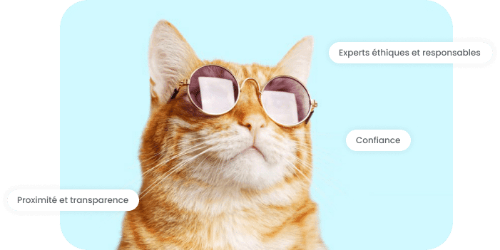 Des experts sans tiques en 2 clics