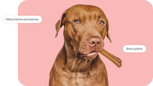 Des experts sans tiques en 2 clics