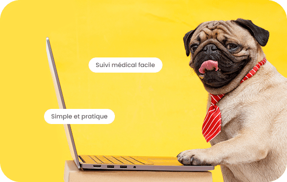 Des experts sans tiques en 2 clics