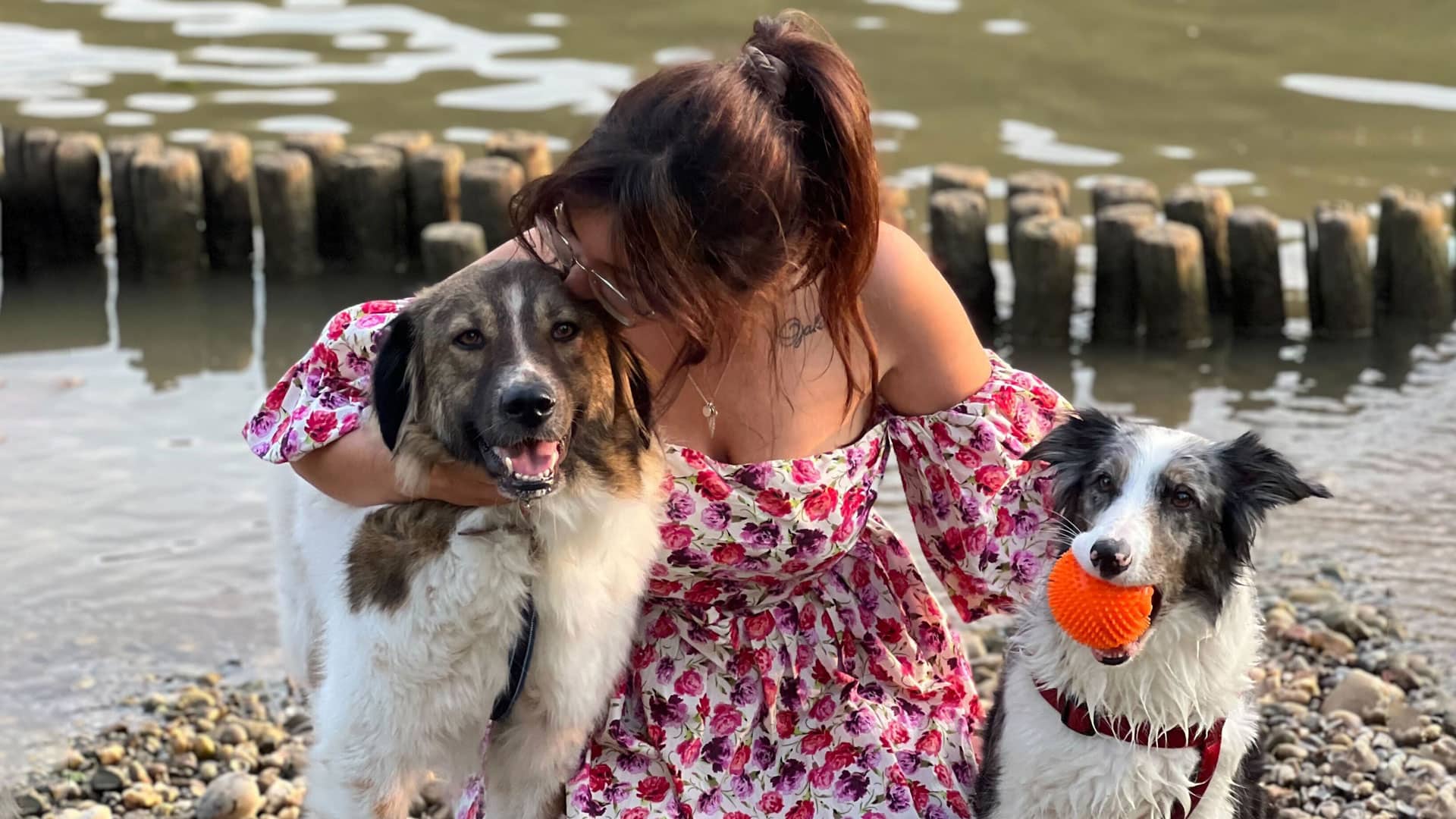 Adoption responsable