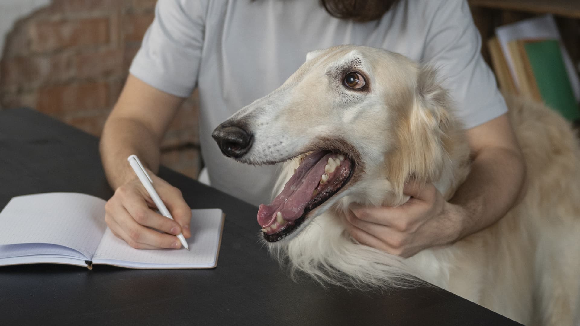 communication animale formation