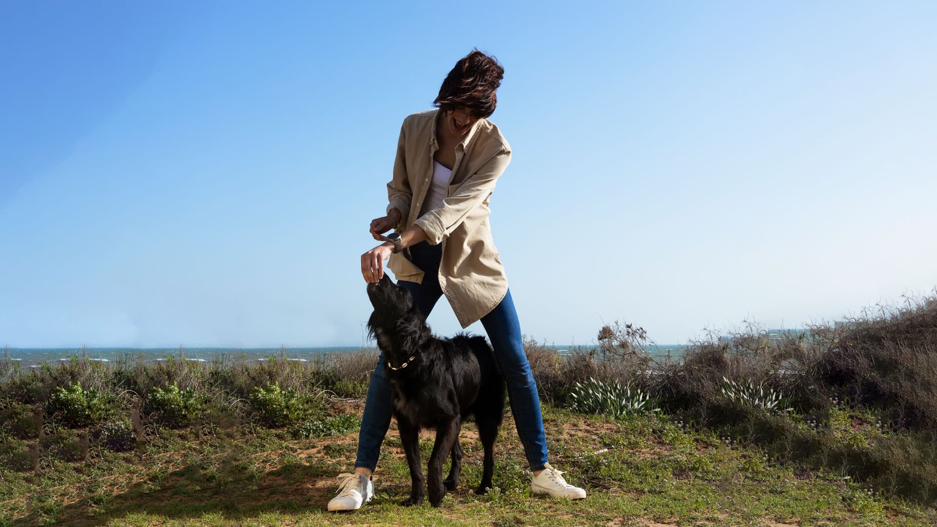 professionnel animalier