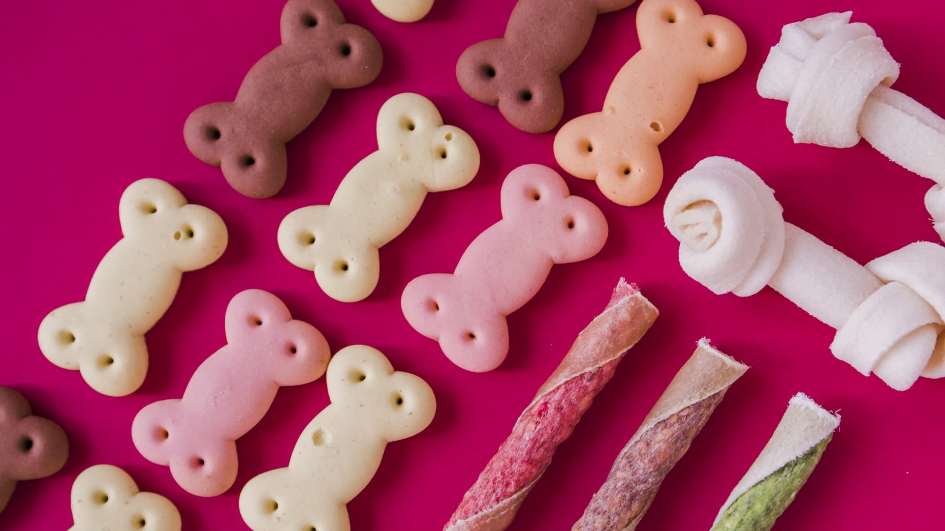 recette biscuit pour chien